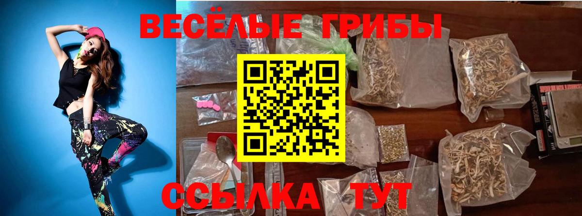 Псилоцибиновые грибы GOLDEN TEACHER  Вход с VPN  Галлюциногенные грибы прущие грибы  Камышлов 
