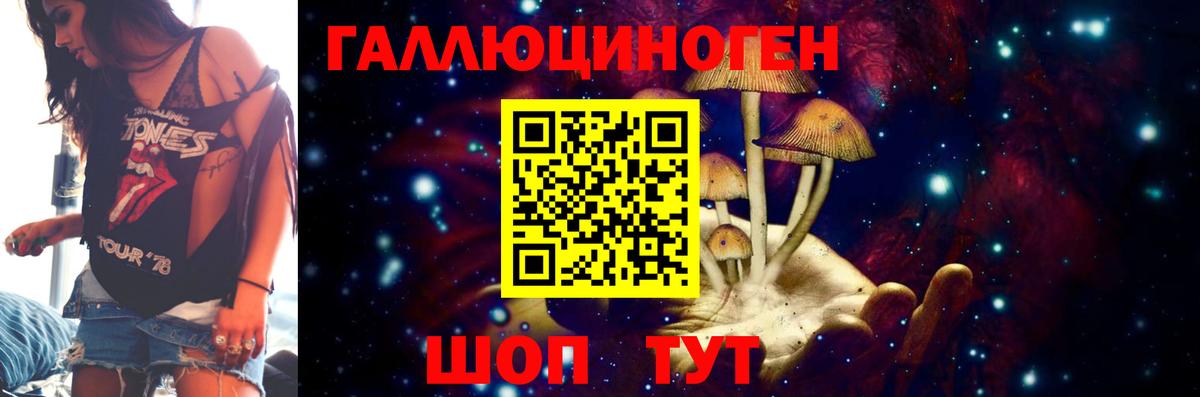 Псилоцибиновые грибы Psilocybine cubensis Камышлов